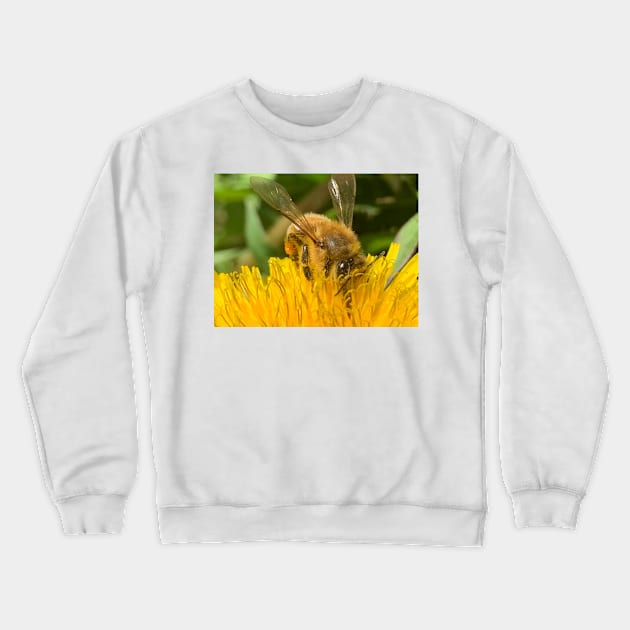 Bee In a Dandelion Crewneck Sweatshirt by ElisabethFriday